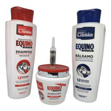 Kit Shampoo,acondicionador Mascarilla Equino Cola De Caballo
