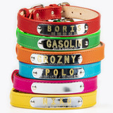 Collar Piel Perro Personalizado Placa Identificación Talla S