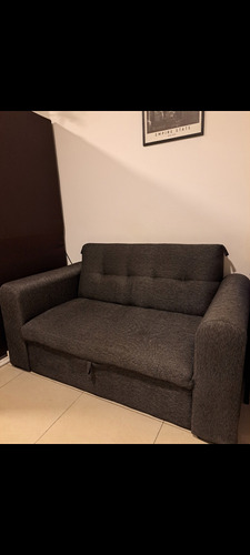 Mueble Sofá Cama 2 Plazas (precio Oportunidad)