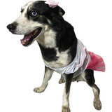 Disfraz Para Perros Hallowen Princesa Talla 5 Xl Mascotas