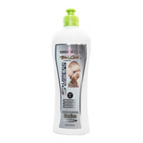 Shampoo Cenizo Sonia Vega - mL a $75