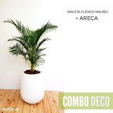 Combo Areca En Malbec Fibrocemento 36x49cm