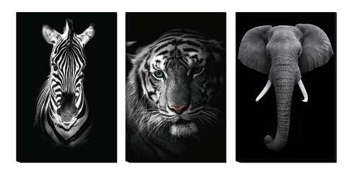 Cuadros Tripticos Animales Blanco Y Negro