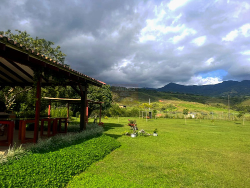 El Carmen, 6.300 M2, Finca En Venta