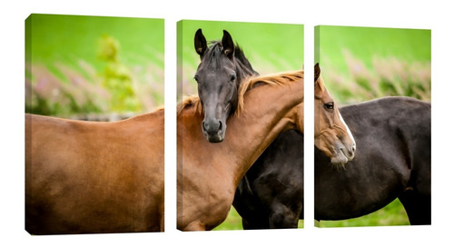 Cuadro Decorativo Canvas Triptico Vertical Caballos Abrazo