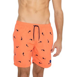 Malla Short De Baño Hombre Estampado Tiburones- Bilbao 12910