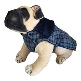 Roupa Pet Quentinha Forro Pelúcia Tam G Beagle Corgi Srd