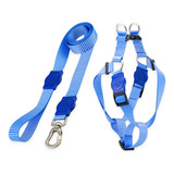 Kit Para Cachorros Grande Porte Guia + Peitoral Jetty