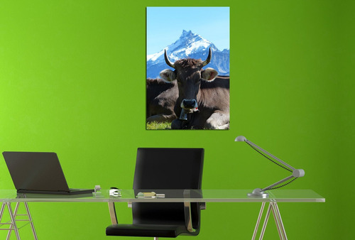 Cuadro 40x60cm Vaca Animales Campo Pasto Funny M11