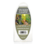 Yankee Candle Autumn Nature Walk Fragranced 6 Pc Wax Melts
