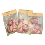 Caracoles/conchas Marinas Rosas Violetas.precio Por 3 Bolsas