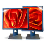 Monitor Dell 19 Polegadas Led Vga Dvi Tela Giratória P1913sb