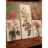Lote 6 Postales Antiguas Flores 