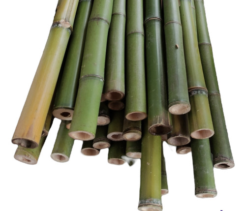 75 Varas De Bambú Decoracion Tutor 50cm Largo/2-3cm Grosor V