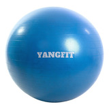 Bola Suiça Pilates Yoga 65cm Anti Estouro Com Bomba Grátis Cor Azul