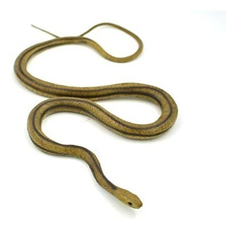 Mamejo Lifelike Rubber Replica Yellow Serpiente De Rata 48  