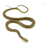 Mamejo Lifelike Rubber Replica Yellow Serpiente De Rata 48  