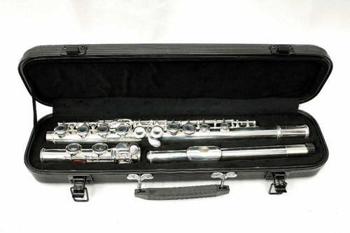 Flauta Jinbao Traversa Jbfl-6248s Llaves Cerradas En Do - C