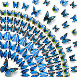 Mariposas 3d Adhesivas Decorativas Para Paredes