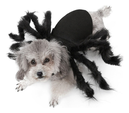 Disfraz De Cosplay Para Perro, Gato, Araña