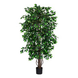 1 Arbol De Ficus Verde Artificial Decorativo 2.1m + Maceta