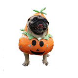 Ropa De Halloween Para Calabaza Para Mascota