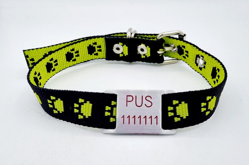 Chapita Perros Pasador Chico+ Collar Huella Verde Negro 2cm