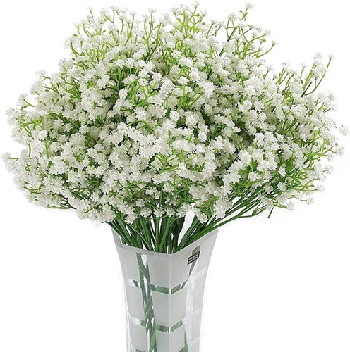 Semillas De Gypsophila Blanca Ramo De Novia Organica Cultivo