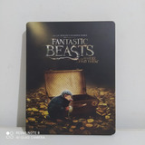 Dvd Filme: Fantastic Beasts - Animais Fantasticos