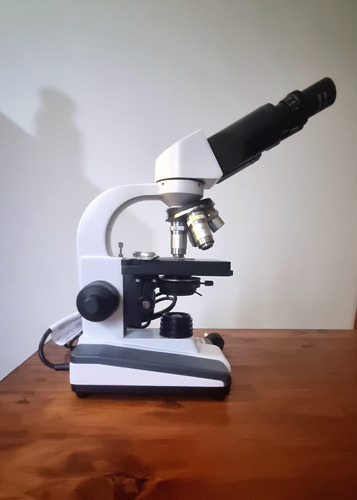 Microscopio Binocular Arcano Xsz 100 Bn 1000x