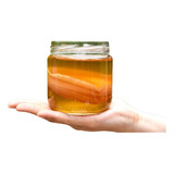 Scoby Para Kombucha - Envios A Regiones 