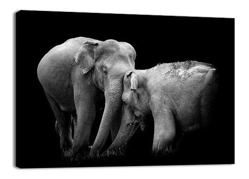 Cuadro Decorativo Animales Canvas Lienzo Elefantes Contra