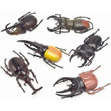 Hosfairy Modelo De Insectos Entomológicos Para Fiestas