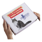 Caja De Regalo Para Gatos Y Catlover   Tamaño M