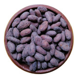 Grano De Cacao Fermentado Criollo 2kg