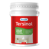 Pintura Latex Tersuave Para Cielorraso Anticondensante Tersinol 20 Litros Color Blanco