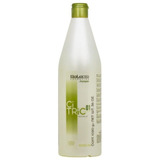 Salerm Shampoo Citric Balance Cabello Teñido O Mechas Litro