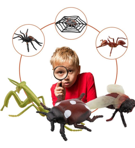Set Insectos Figura De Animales Juguetes Colección Infantil