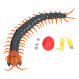 Simulación Insect Tricky Toy Rc Centipede Model Scary Re [u]