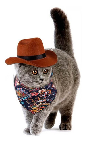 Sombrero Vaquero Para Gatos