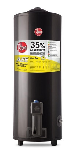 Termotanque Marca Rheen 80 Lts Carga Sup Gas 