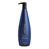 Aneethun Linha A Shampoo Silicone Com Tutano E Queratina 1l