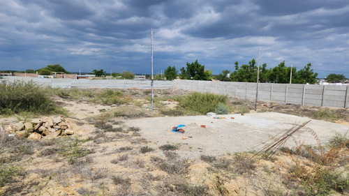 Vendo Lote En Castilla - Piura 3000 Mt2 - Imagen 2