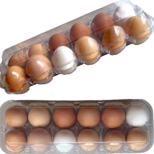 Embalagem Plástica Para 12 Ovos De Galinha Kit 100 Unidades