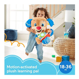 Peluche Fisher Price Perrito Grande Aprende Conmigo