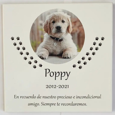 Foto Recuerdo Mascota. Para Decoración O Lápida En Exterior | Envío gratis