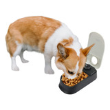 Pawise Dispensador Automtico De Alimentos Para Mascotas Con