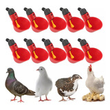 10pcs Aves De Corral Agua Bebedero Comedero Ganado Pollo