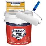 Colorin Pintura Latex Interior 20l Exterior + Rodillo +color