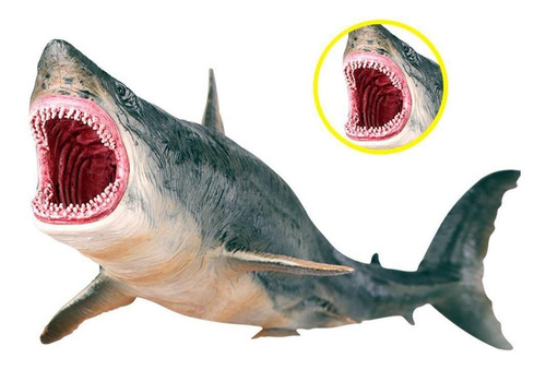 Baleia Tubarão Megalodon Brinquedo Super Realista